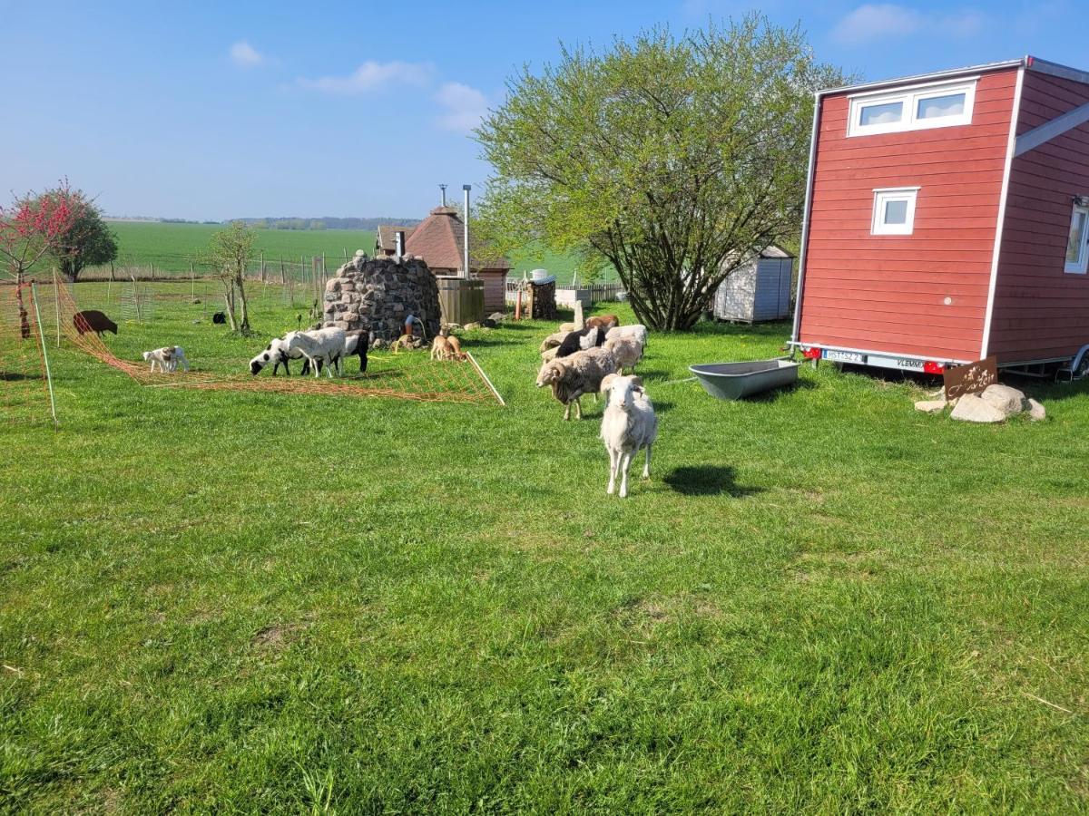Villa Tiny House Schonbeck  Esterno foto