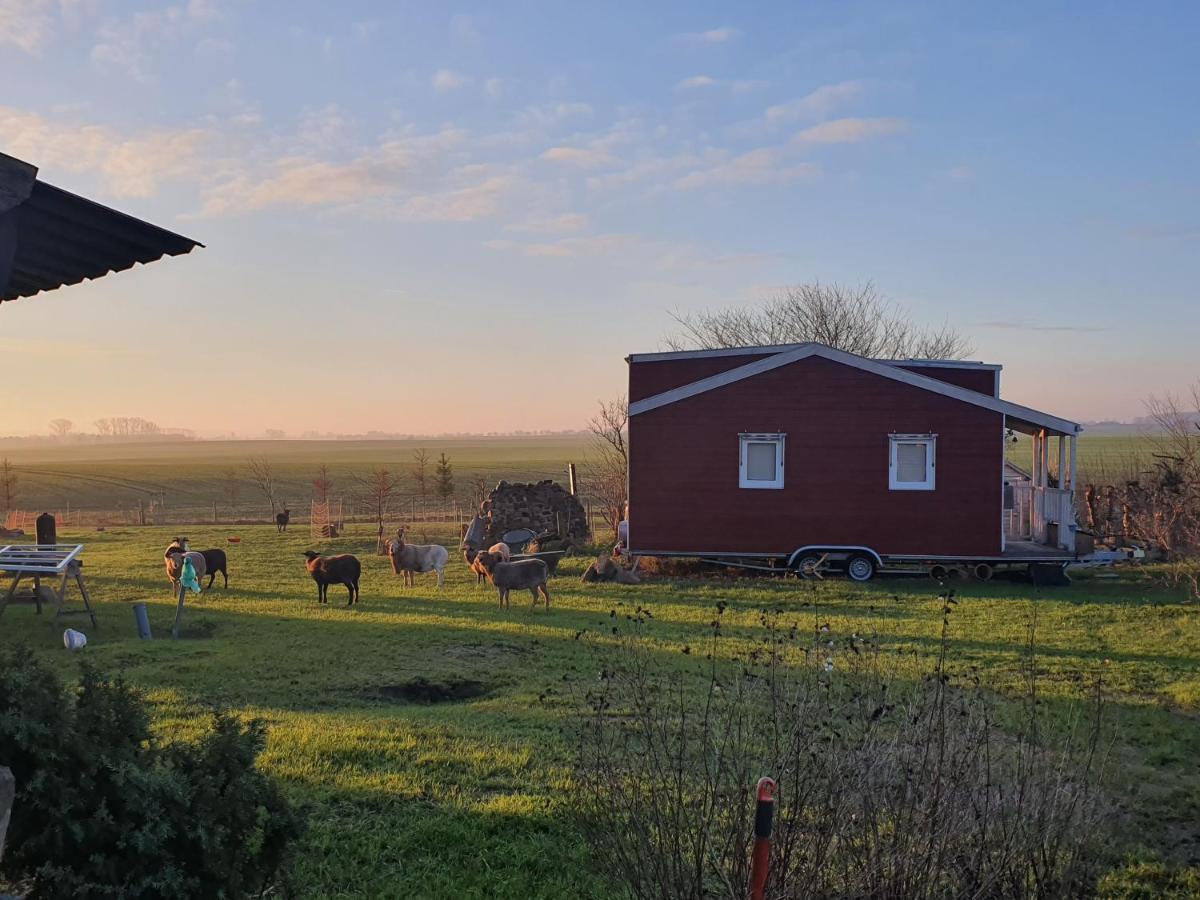 Villa Tiny House Schonbeck  Esterno foto