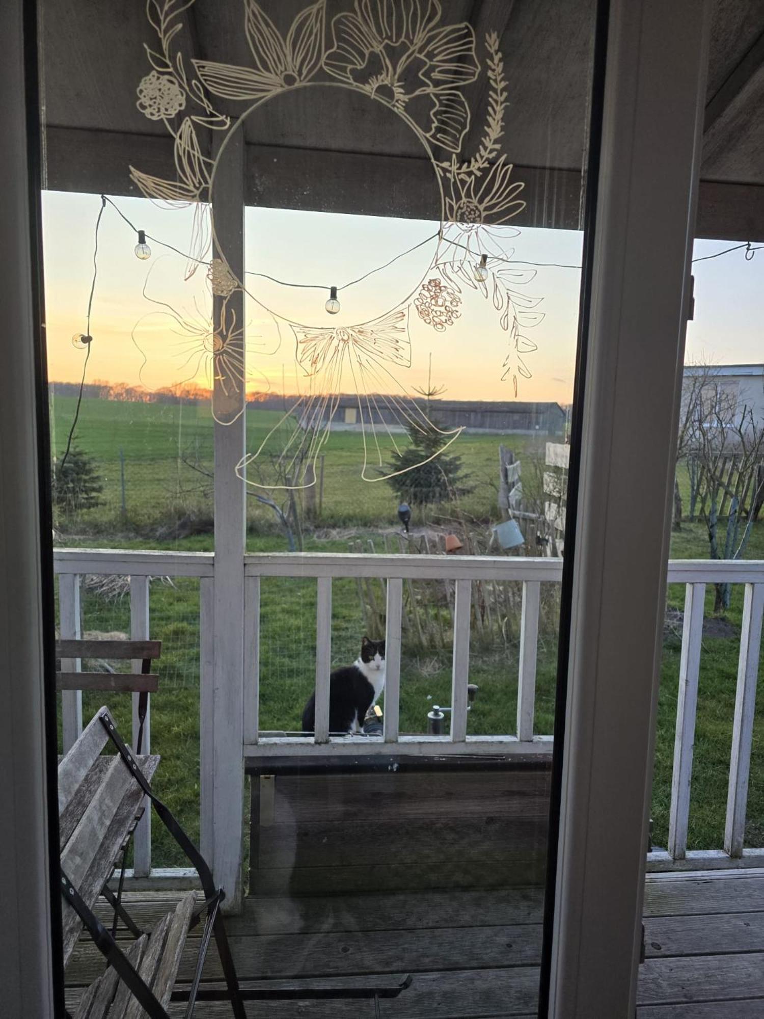 Villa Tiny House Schonbeck  Esterno foto